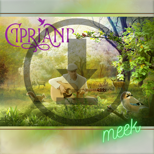 Meek EP - Digital Download