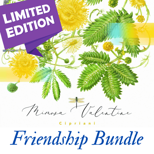 Mimosa Valentine Friendship Mega Bundle - Digital Download